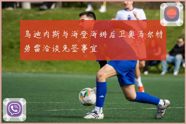 乌迪内斯与海登海姆后卫奥马尔特劳雷洽谈免签事宜